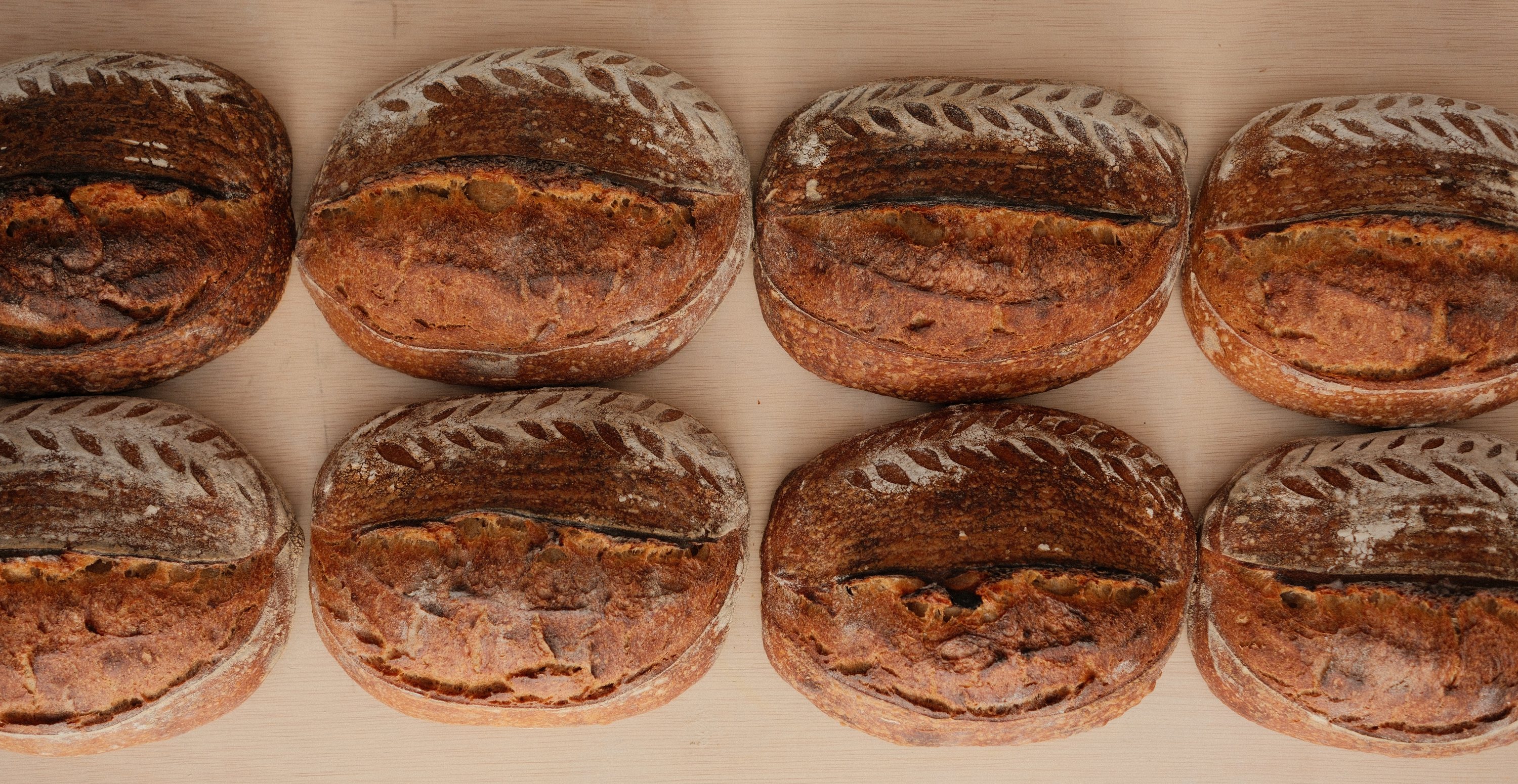 Freshly baked sourdough loaves with a wheat-ear scoring pattern, seen from above